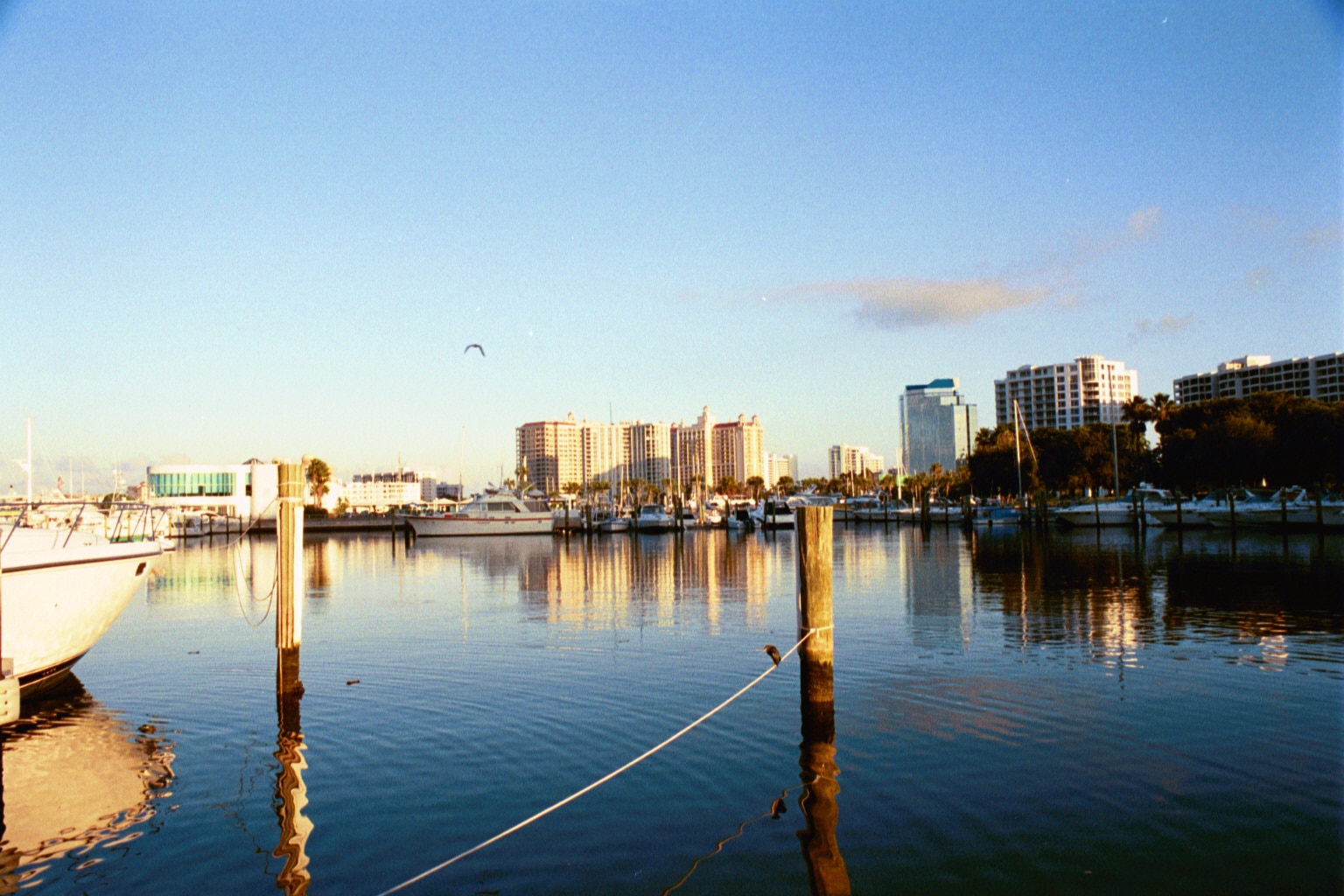 downtown bayfront