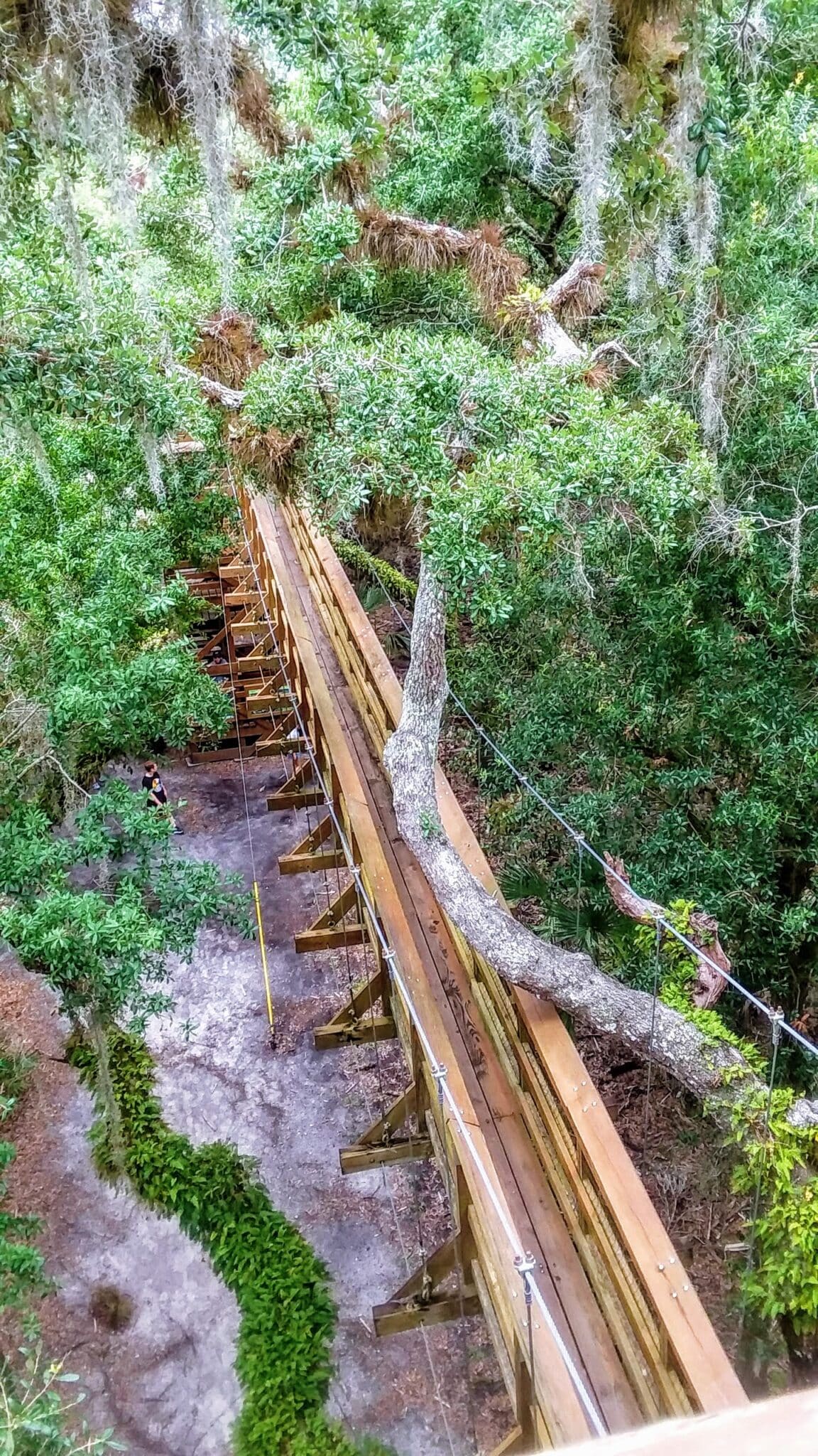 myakka river