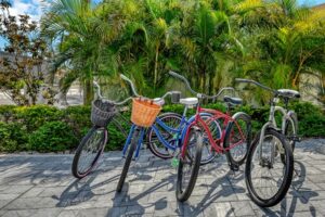 neighborhood bikes