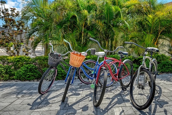 neighborhood bikes